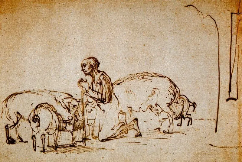 램브란트 돼지 속에 함께 있는 탕자 1645-1648년 / 드로잉 16x23cm